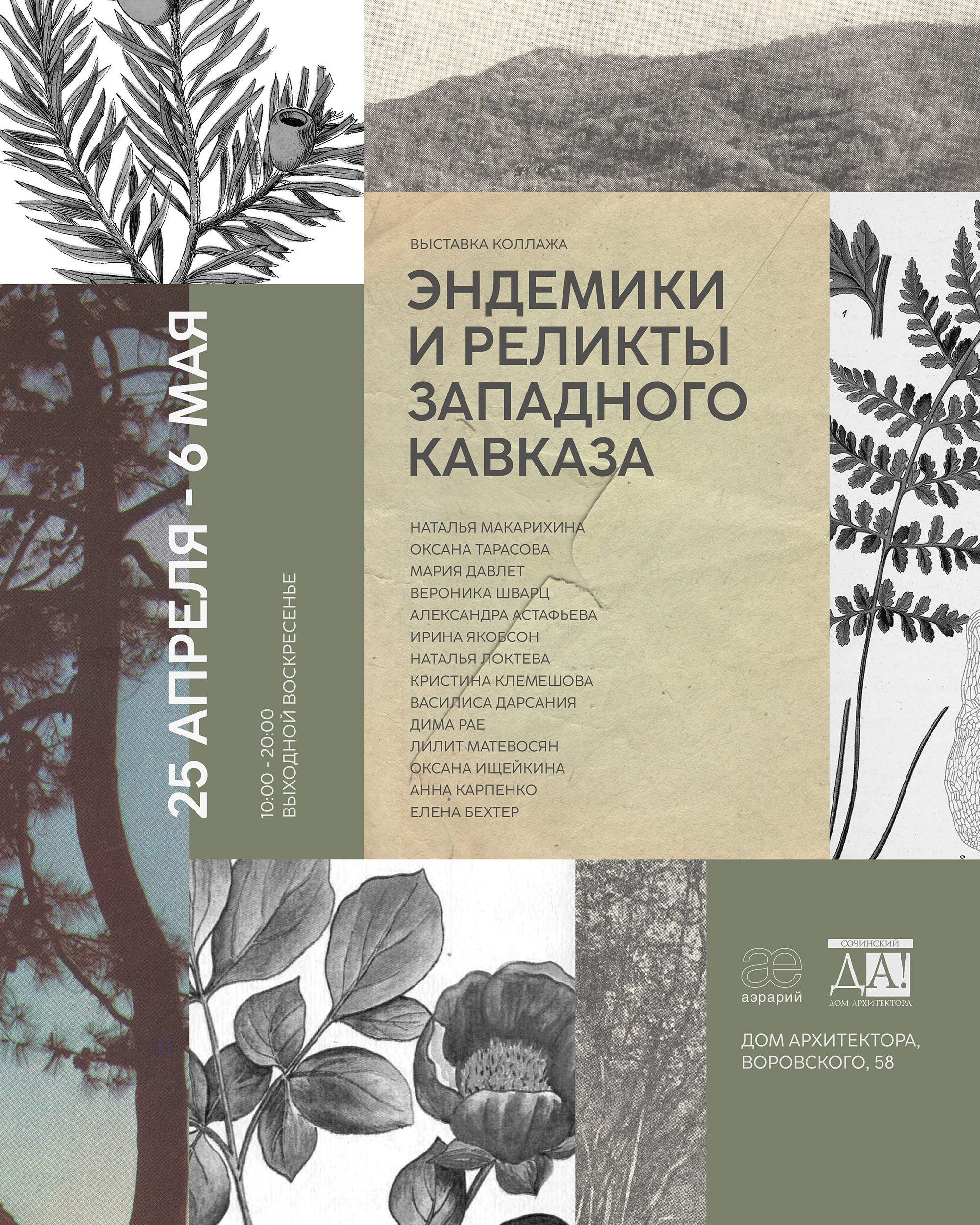 Выставка «Эндемики и реликты Западного Кавказа». Курортное дело