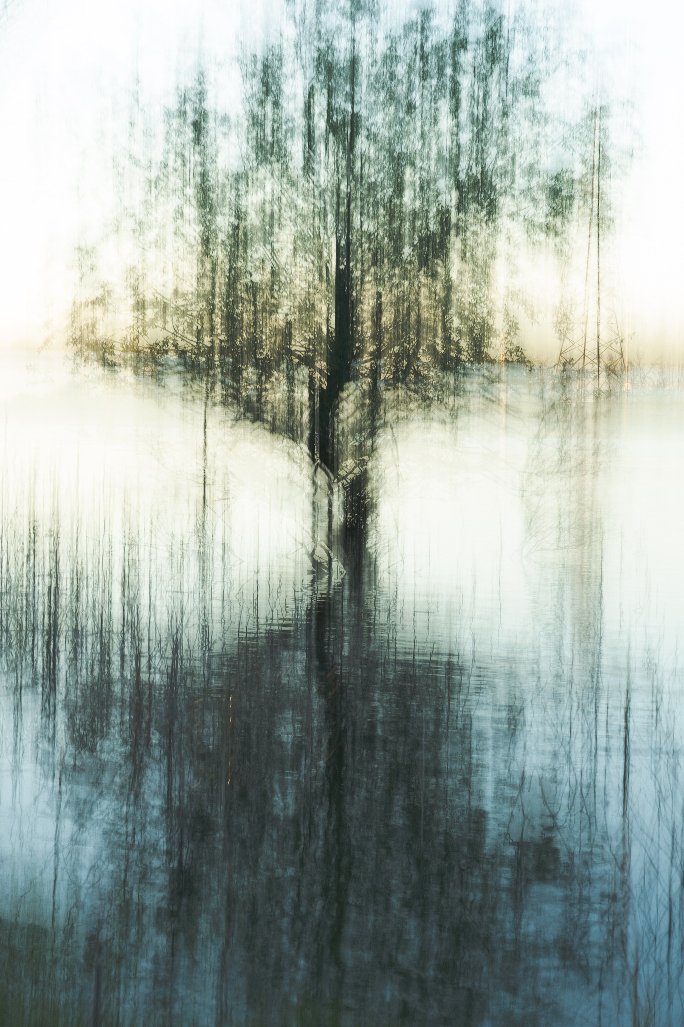 Якутенко Ольга. ARTEXPOPHOTO