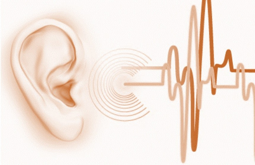 Препараты компании Сово-Сова, которые помогают при шуме в ушах, голове, лечат шум в ушах, от шума в ушах от шума в голове