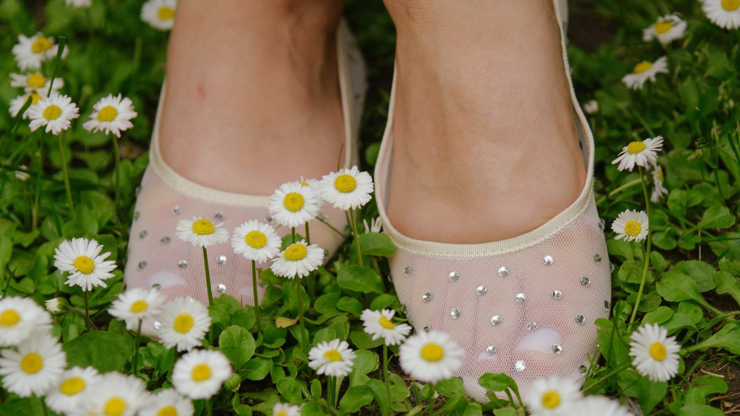 Price. Фотограф Лола Волна, город Москва