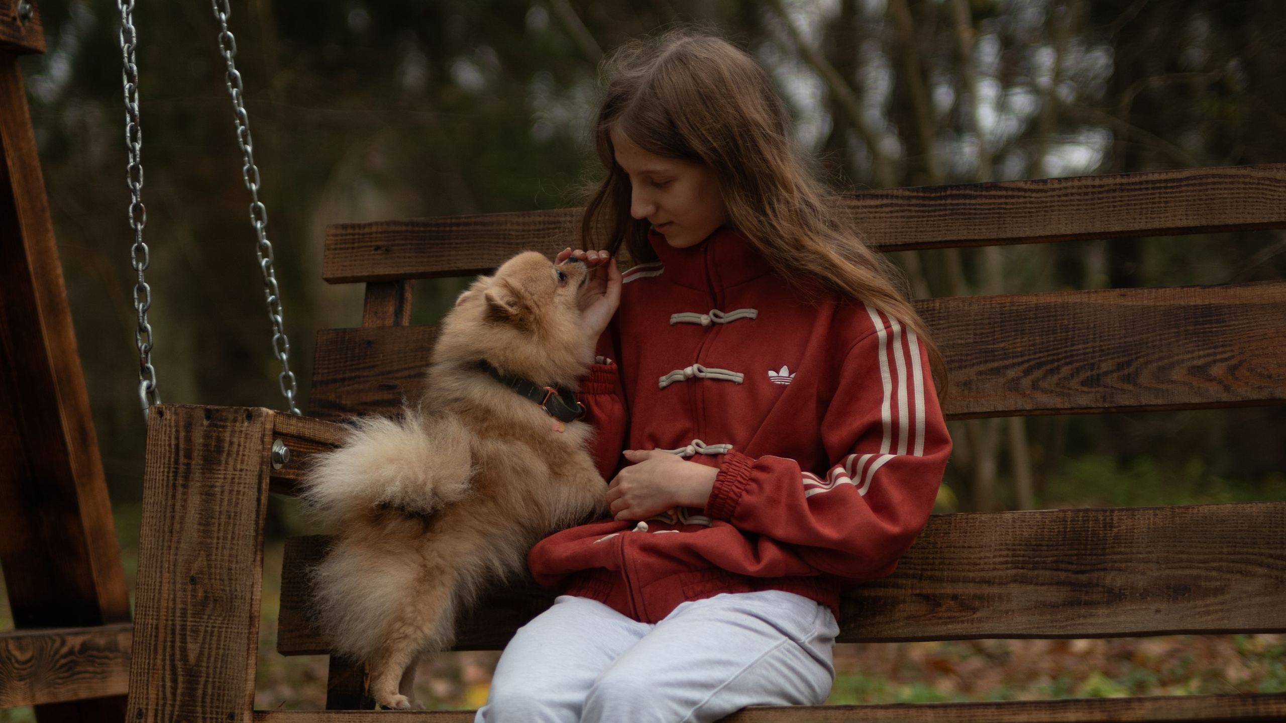 Контакты. Фотограф — анималист RISHELL PHOTO