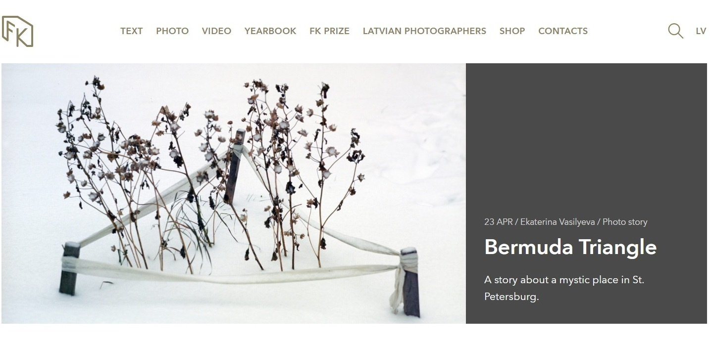 Екатерина Васильева художник, куратор и преподаватель