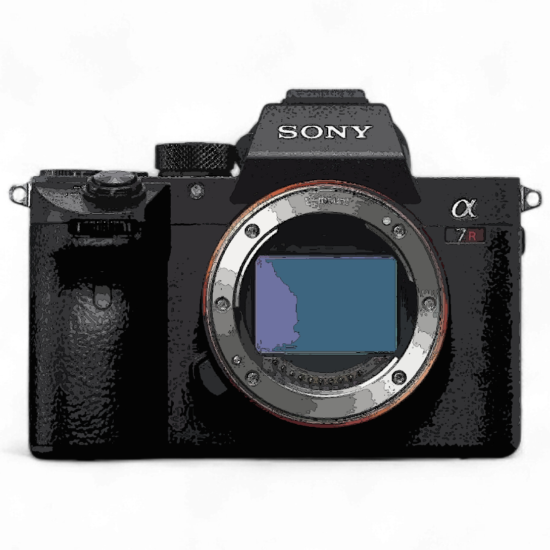 Плак или Квак