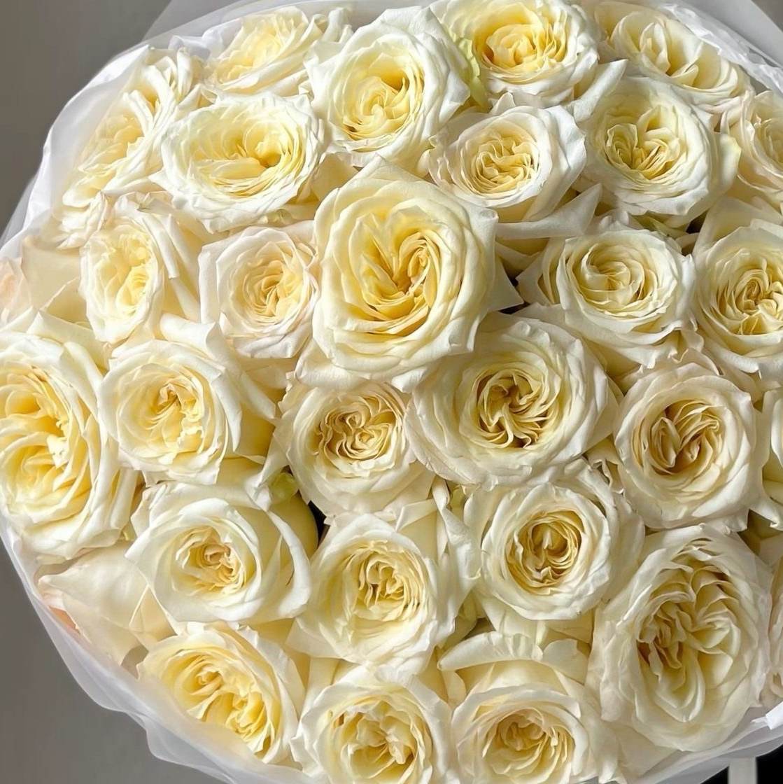 Каталог. Купить цветы с доставкой по Москве