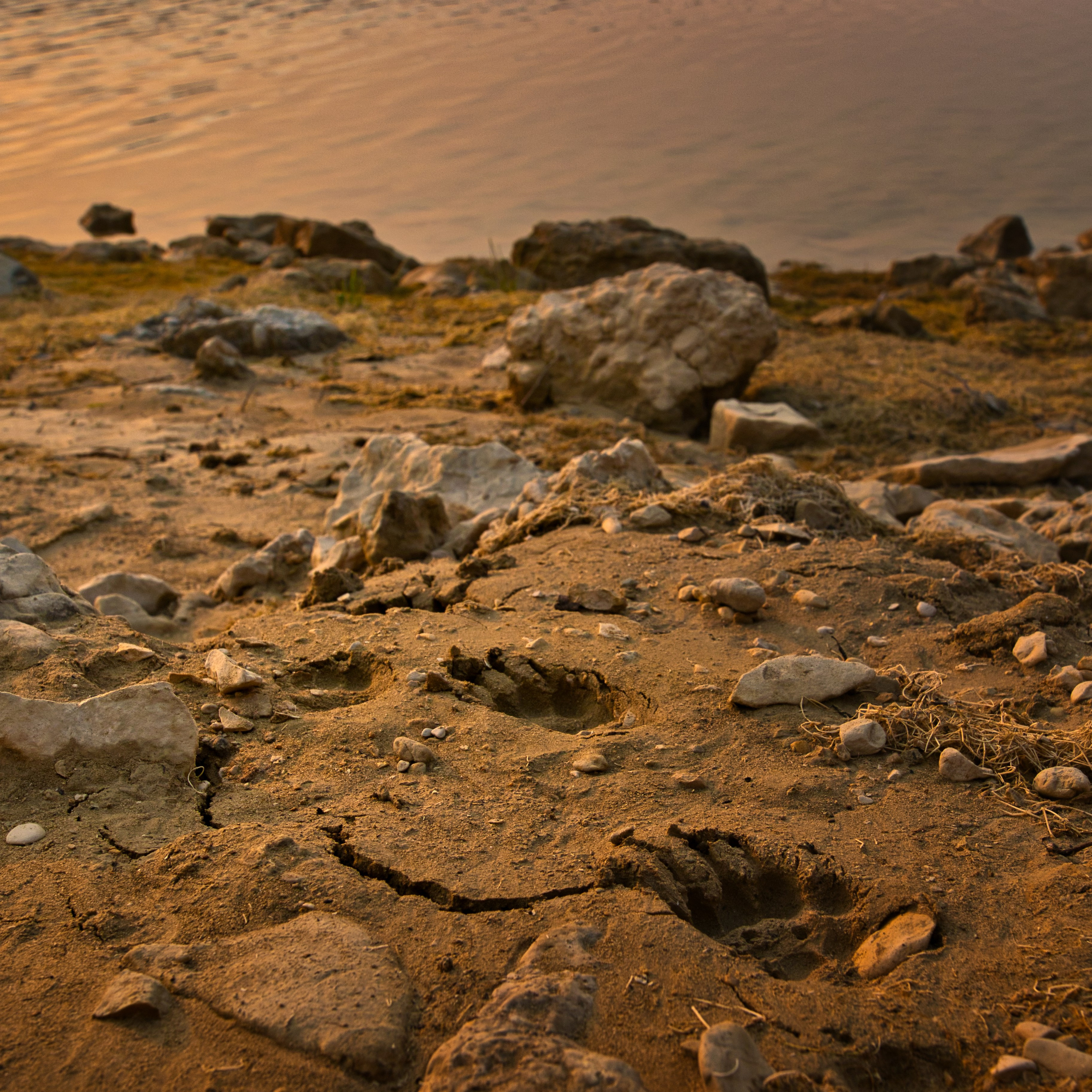 Камни и трещины на высохшем берегу водохранилища Крушчица, Хорватия