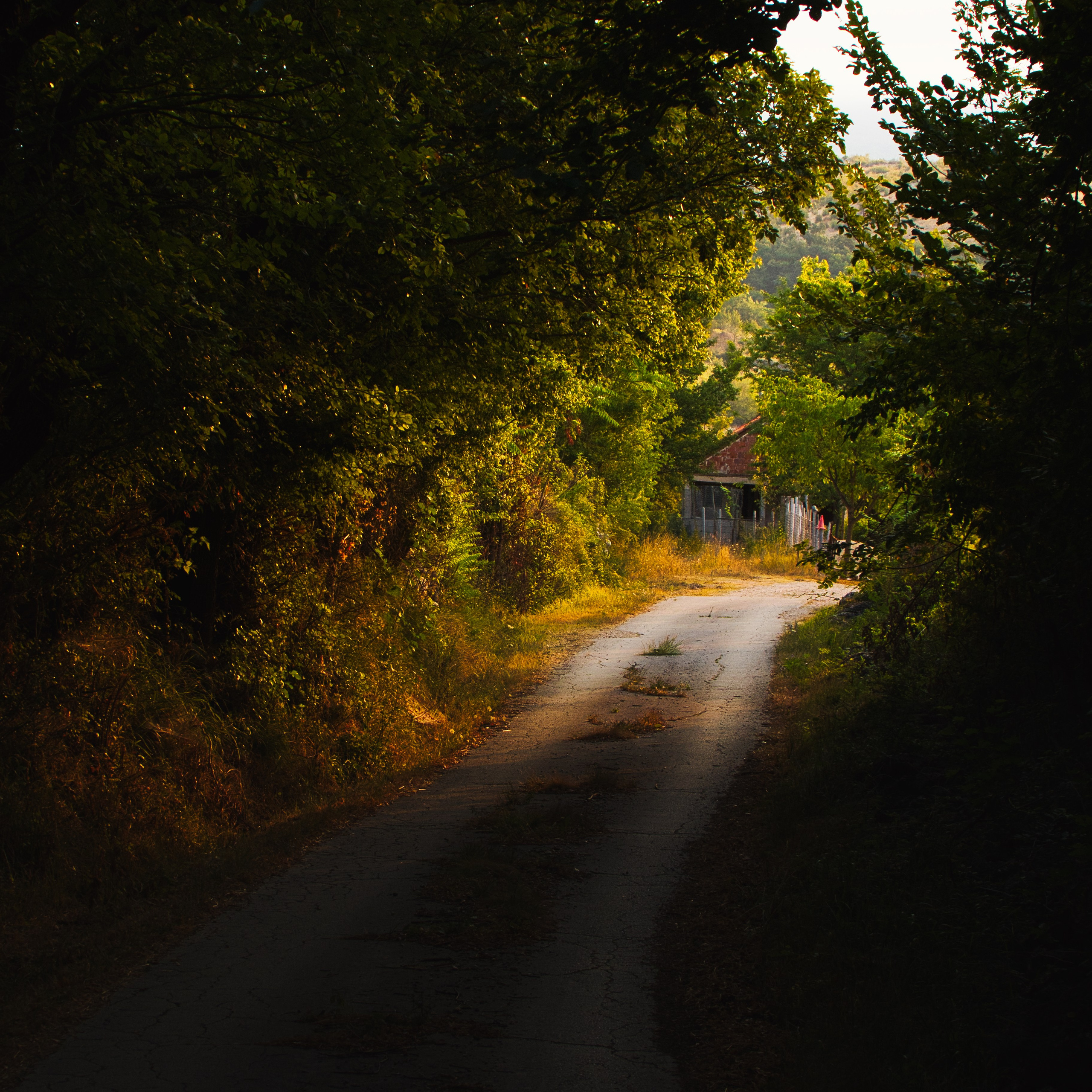 Дорога через лес к водохранилищу Крушчица в Хорватии, солнечные лучи сквозь деревья