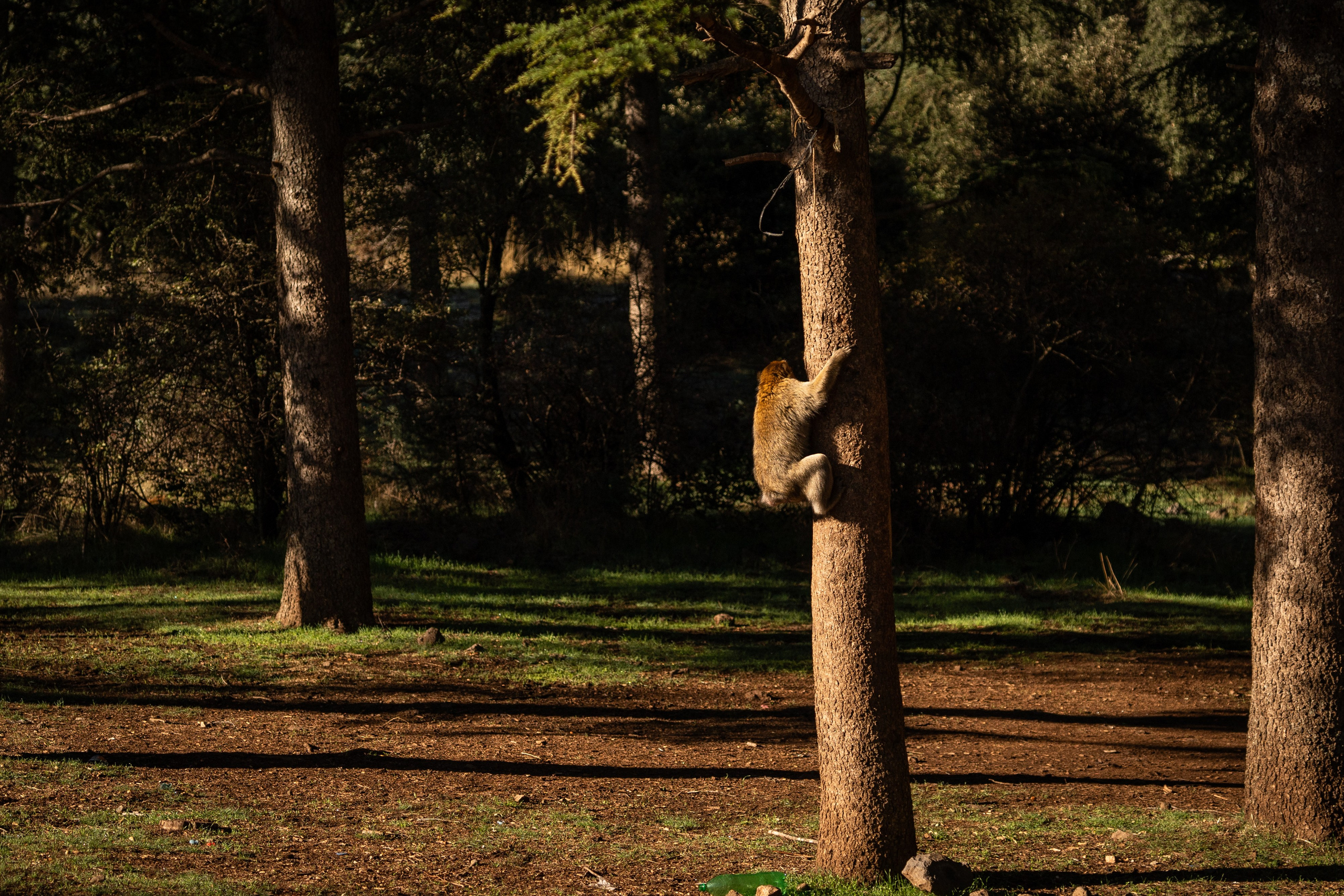Марокко. Илья Варин — Фотограф Москва, Тверь