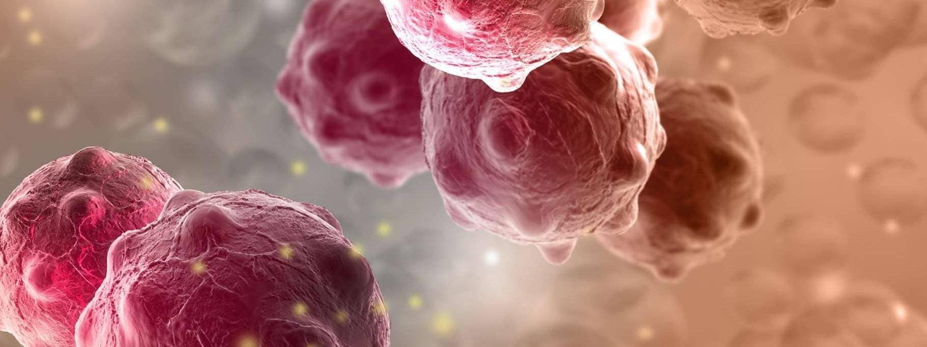 Питание и Бады при онкологии. «Сово-Сова» продукция для омоложения, здоровья и долголетия