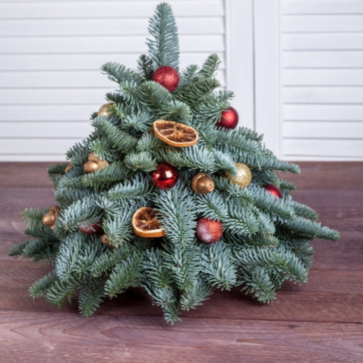 Новогодняя фотосессия с оригинальным декором. Свадебный фотограф Дмитрий Гладков