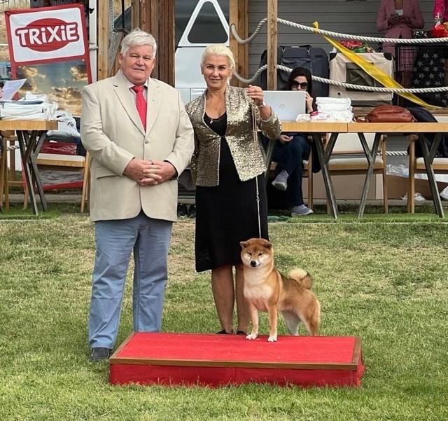 2024. SHIOMARU Shiba and Akita Inu Kennel