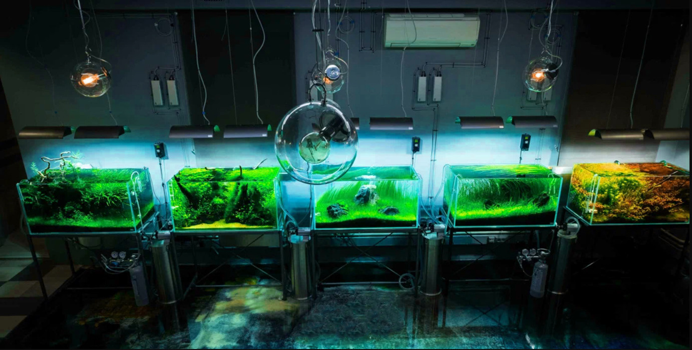 Опыт работы. Home