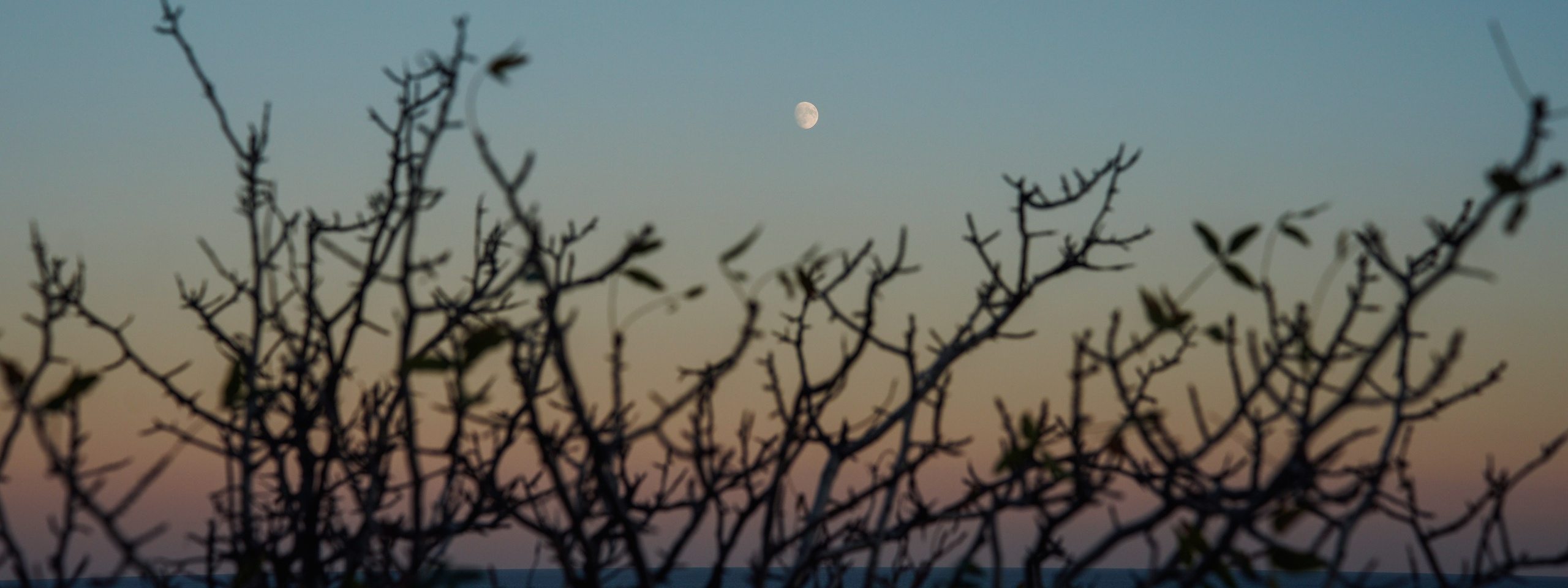 Крым 2025: Глава вторая. Фотограф из Москвы — DASHA NOVA | Авторская фотография в разных жанрах