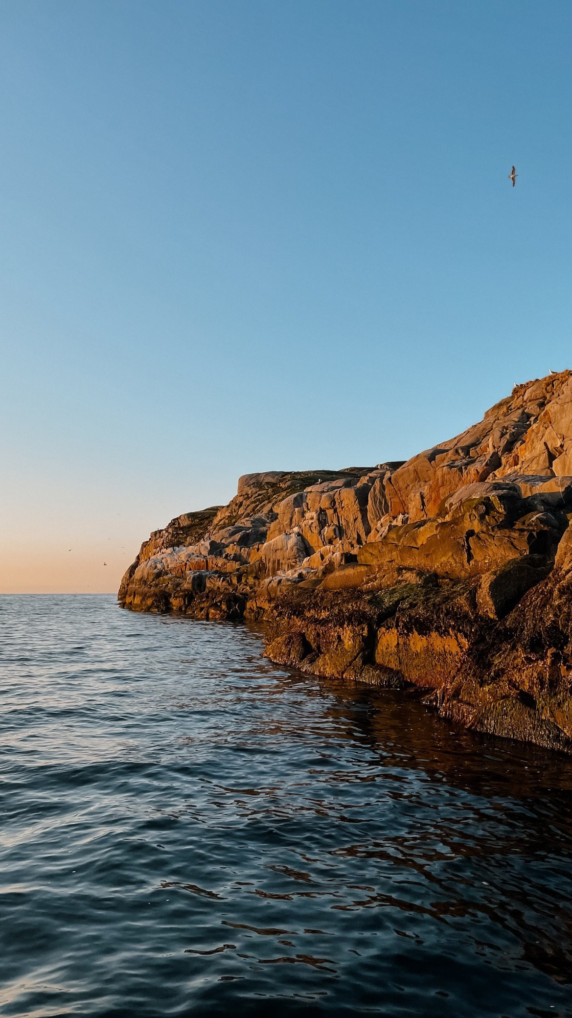 Как удвоить шансы на встречу с китами в Мурманске?