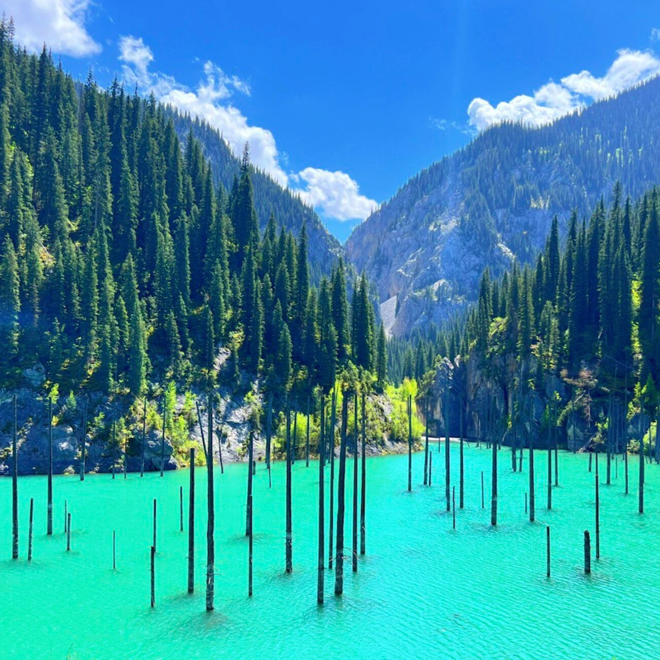 Озеро Каинды в Казахстане. Затонувший лес. Где находится, как доехать из Алматы, фото и видео зимой и летом