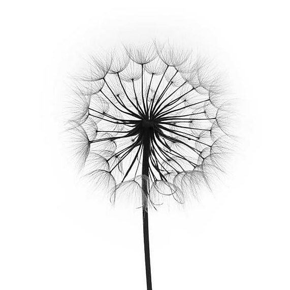 Контакты архитектурной студии в г. Анапа. Архитектурное проектирование и дизайн интерьеров. г. Анапа