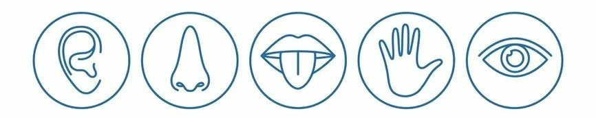 15 бюджетных советов по внедрению СЕНСОРНОГО МАРКЕТИНГА, которые подойдут практически для любого бизнеса. Власова Мария Хоумстейджер в Великом Новгороде