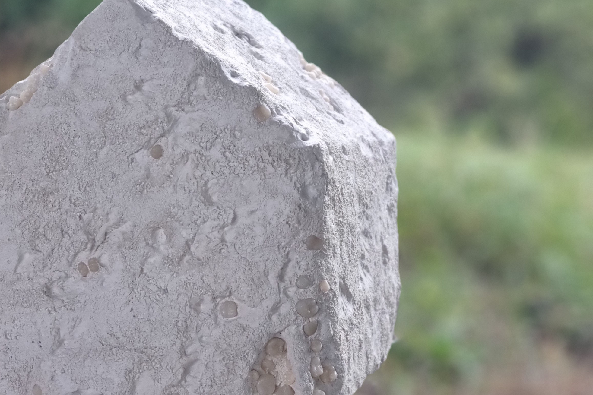 Я в порядке. Ирина Петрова. Современный художник