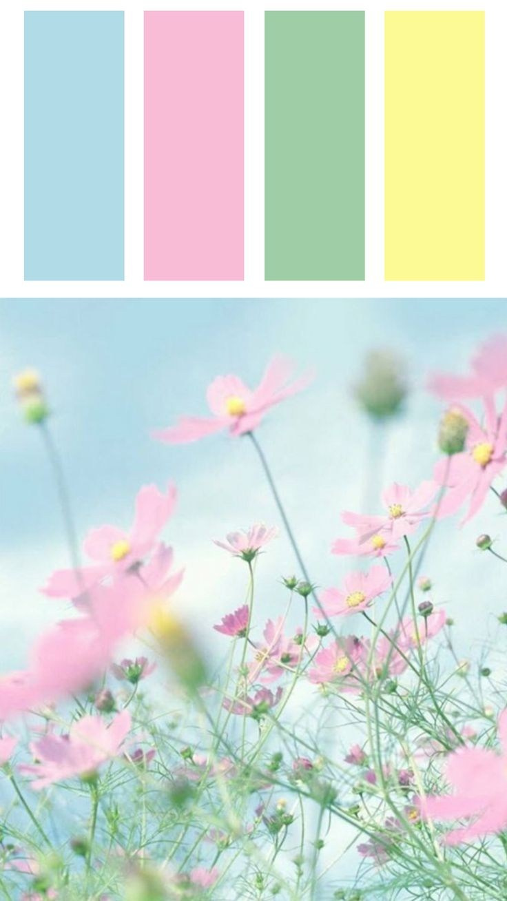 Как составить образ на летнюю фотосессию. Фотограф в Санкт-Петербурге, Анна Скворцова