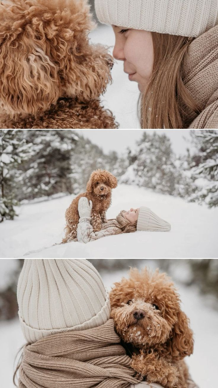 LA PULCHI СЪЕМКА С ЖИВОТНЫМИ КОНСУЛЬТАЦИЯ ПО ПОДГОТОВКЕ