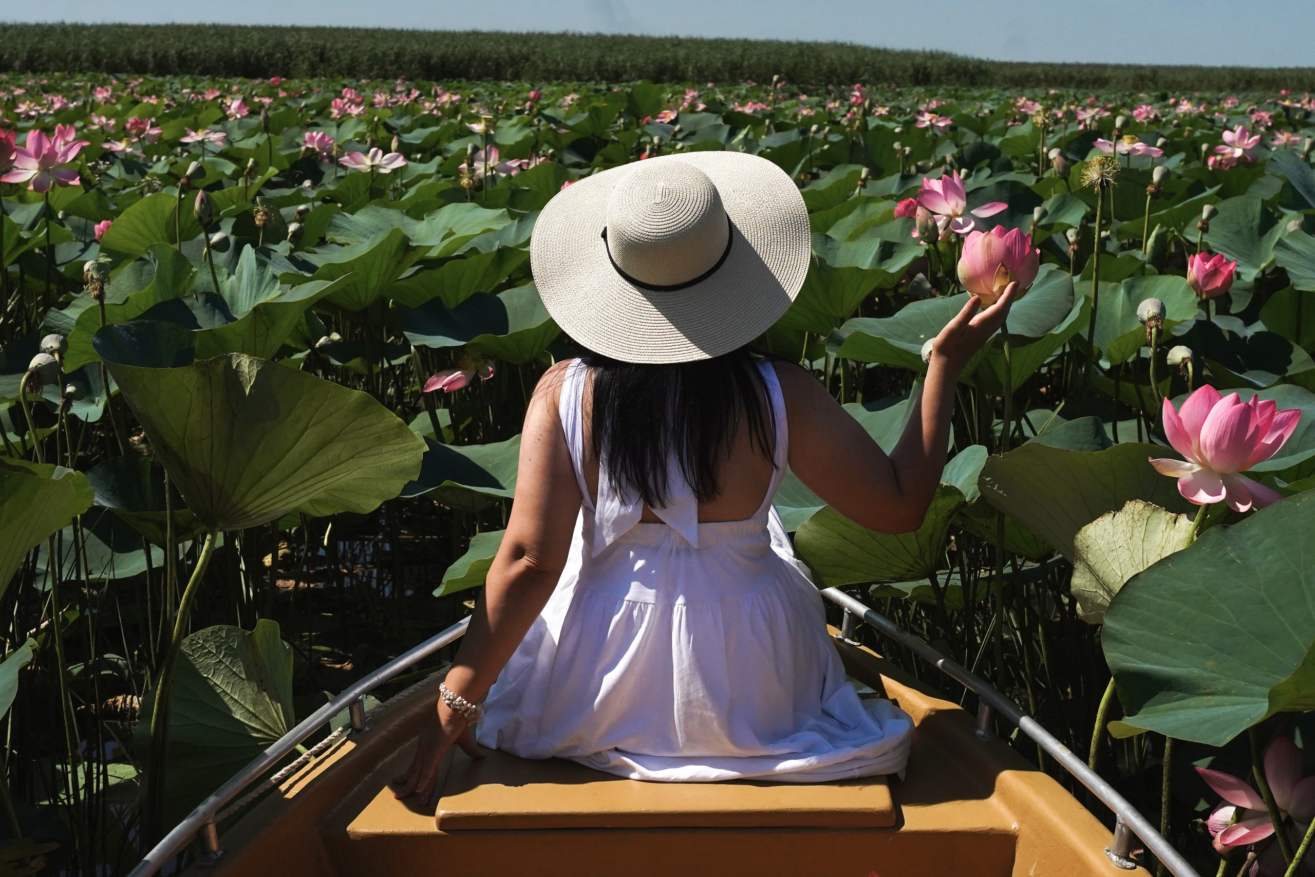 Фото-тур в лотосовые поля. Фотограф в Астрахани • Фото-туры • Виктория Герма