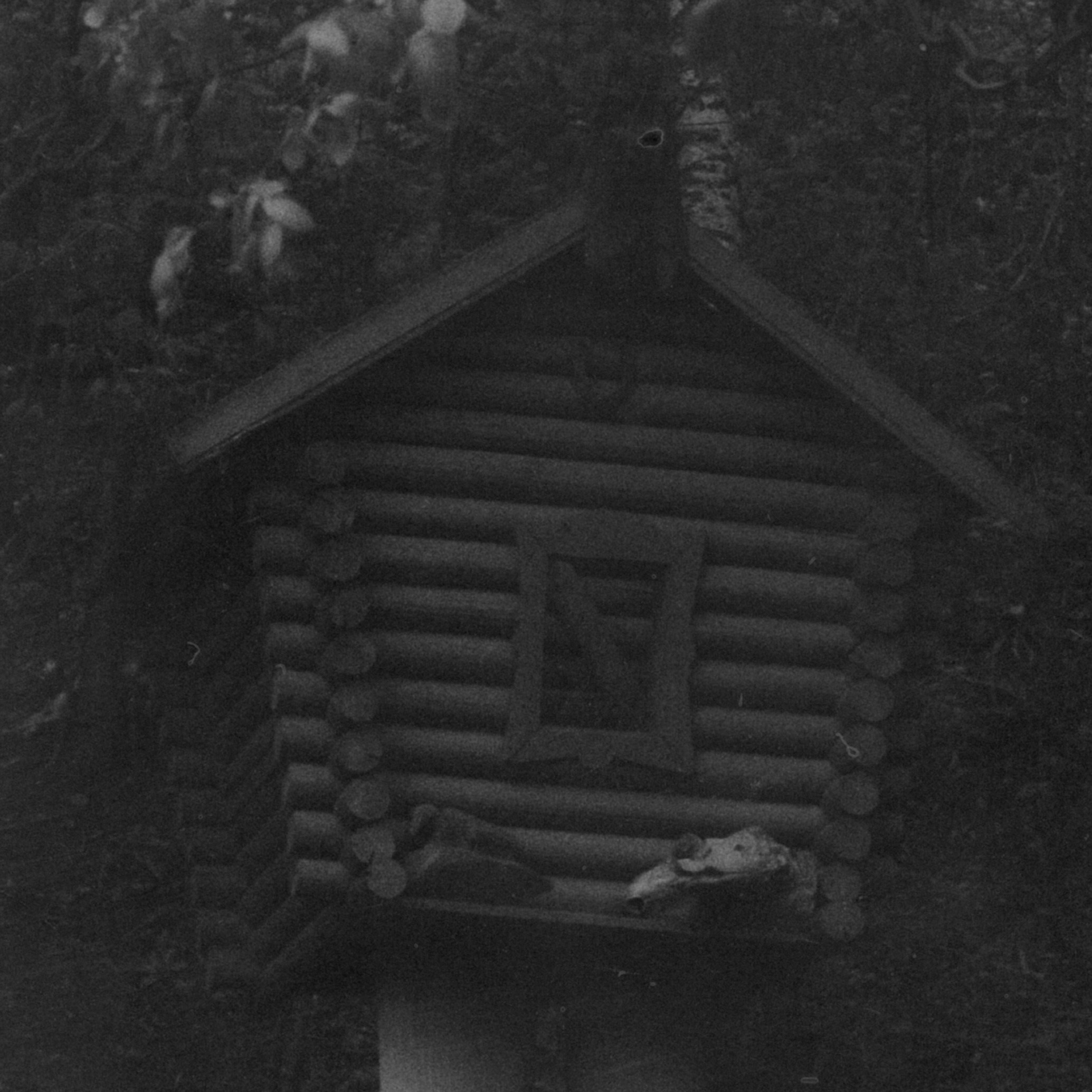 Съемка. Фотограф Москва