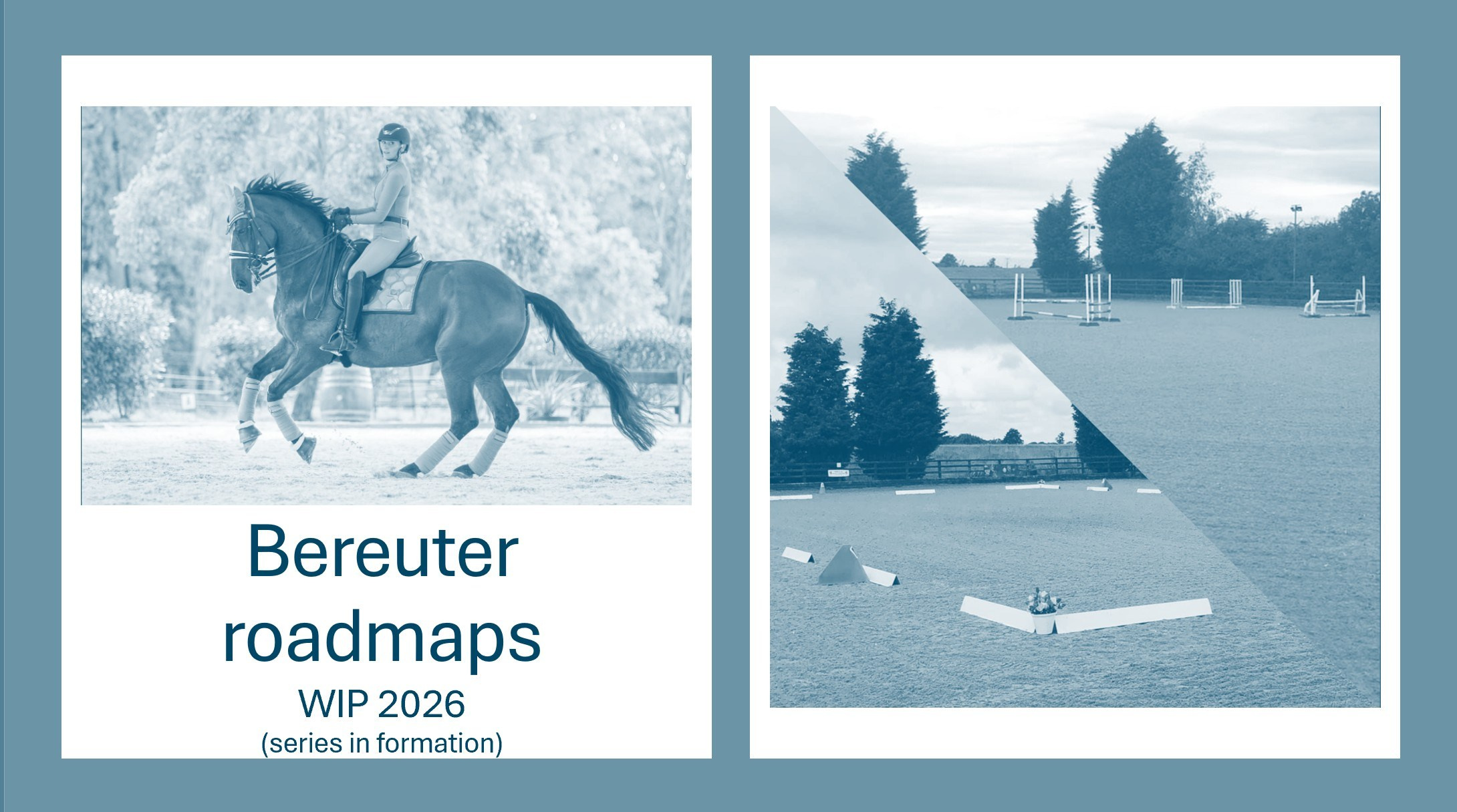 Календарь соревнований и семинаров. Лиана Антонович | Конные стратегии