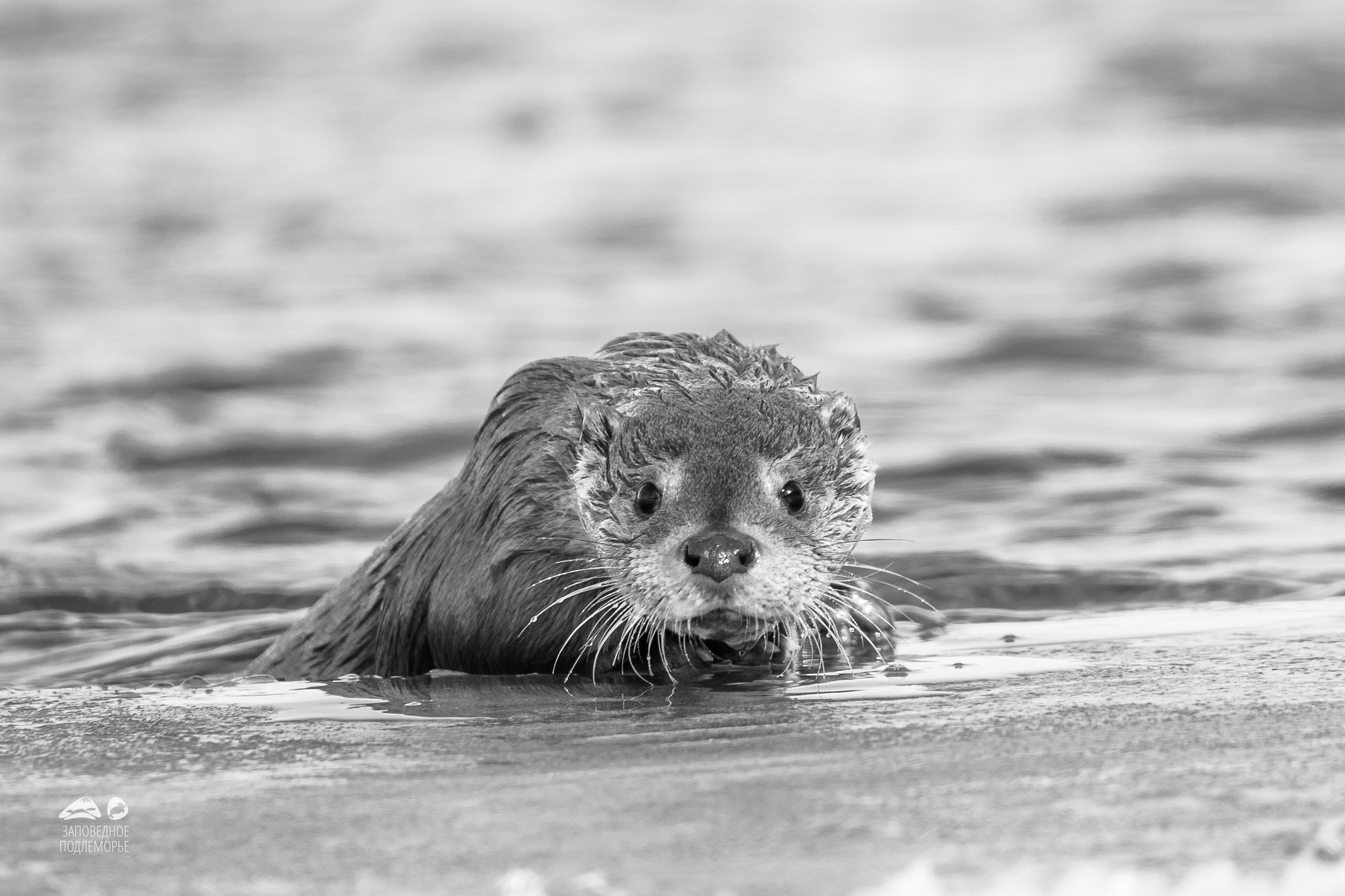 Галереи. Фотограф Лубсан Чагдуров
