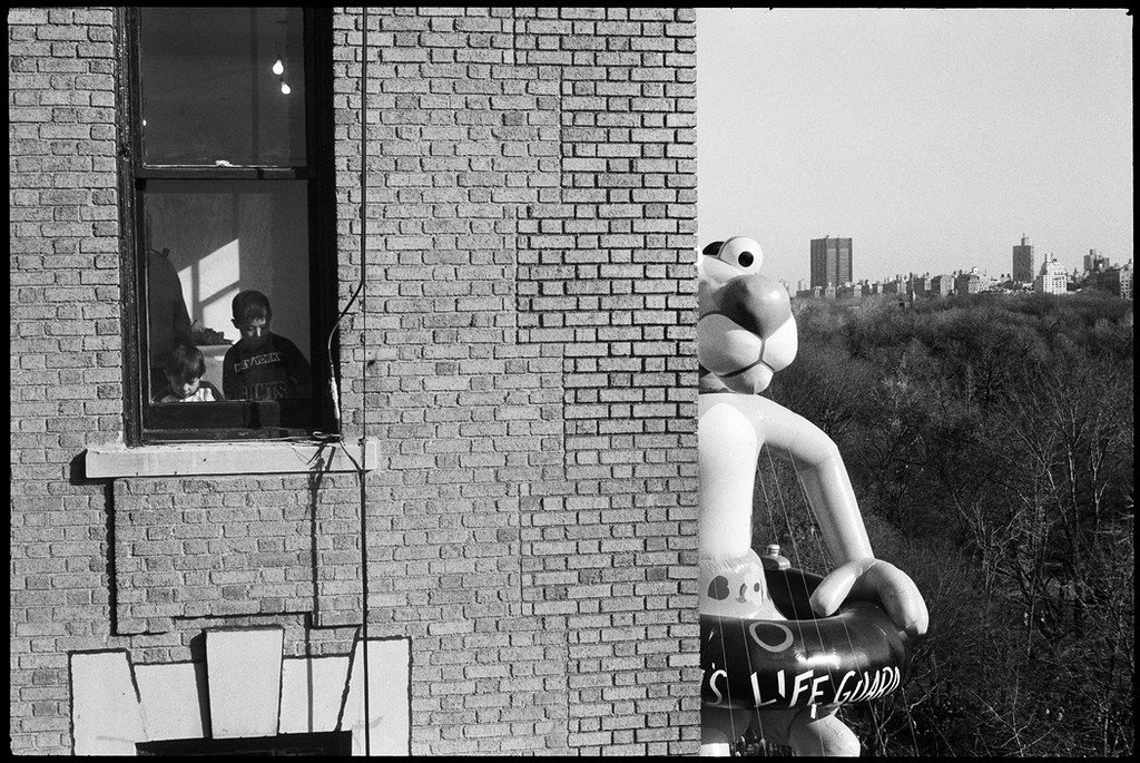 Elliott Erwitt. Выпускные альбомы, фотограф Денис Зимин в городе Ростове-на-Дону