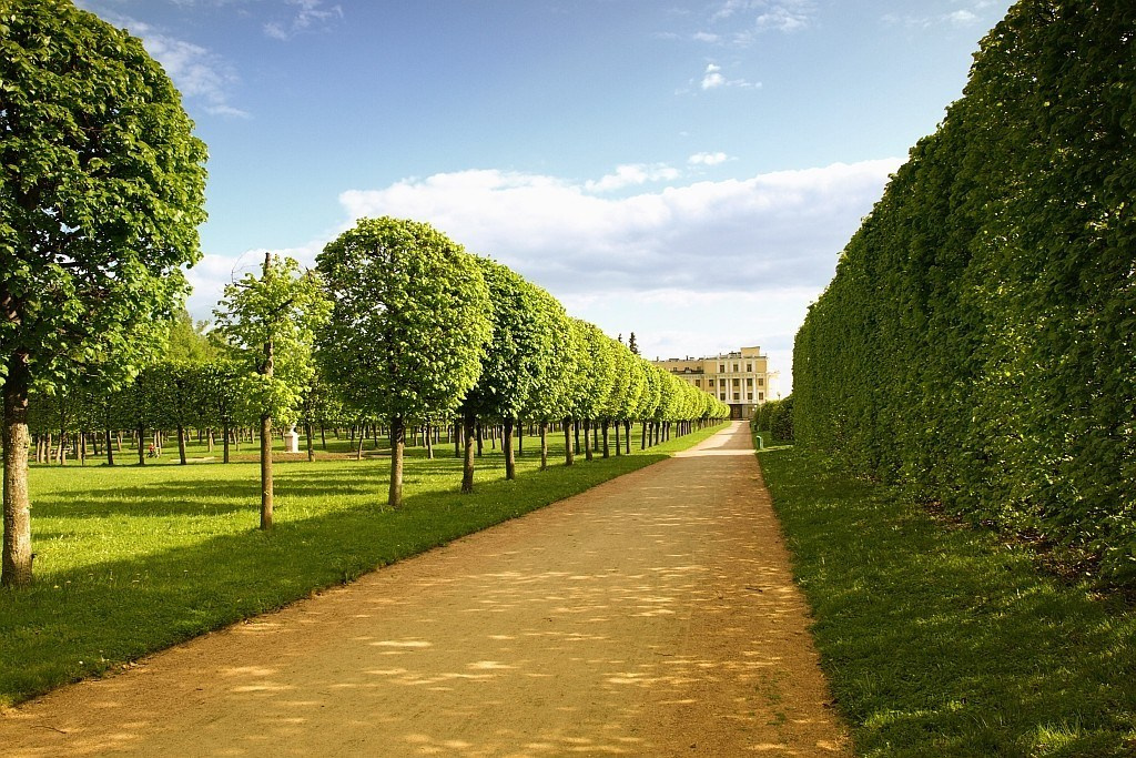 Локации на открытом воздухе. Винтажные фотосессии в Москве