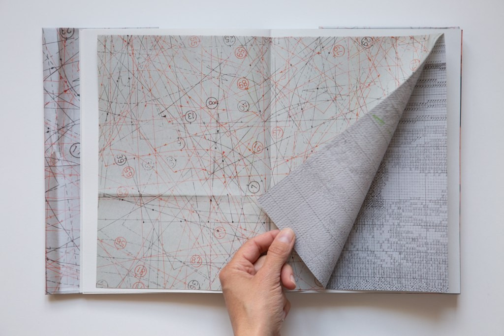 ОБЗОР АКТУАЛЬНЫХ ФОТОКНИГ: Улица Rue Désiré Chevalier. Самоорганизация Низина