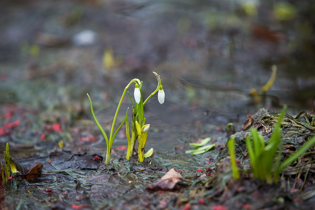 Весенний Фотопроект. OLGA OLEYNIKOVA Пространство, люди, смыслы