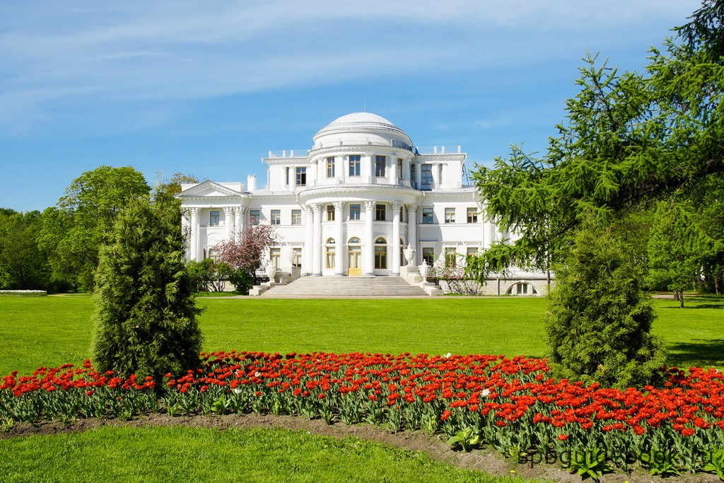 Локации для свадебной фотосессии в Санкт — Петербурге. Свадебный и портретный фотограф в Санкт-Петербурге Анна Демьянова