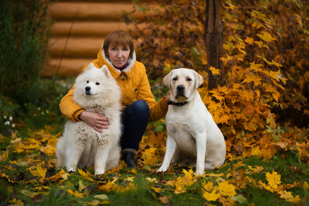 Как подготовить собаку к фотосессии. Фотограф во Владимире Татьяна Бабикова