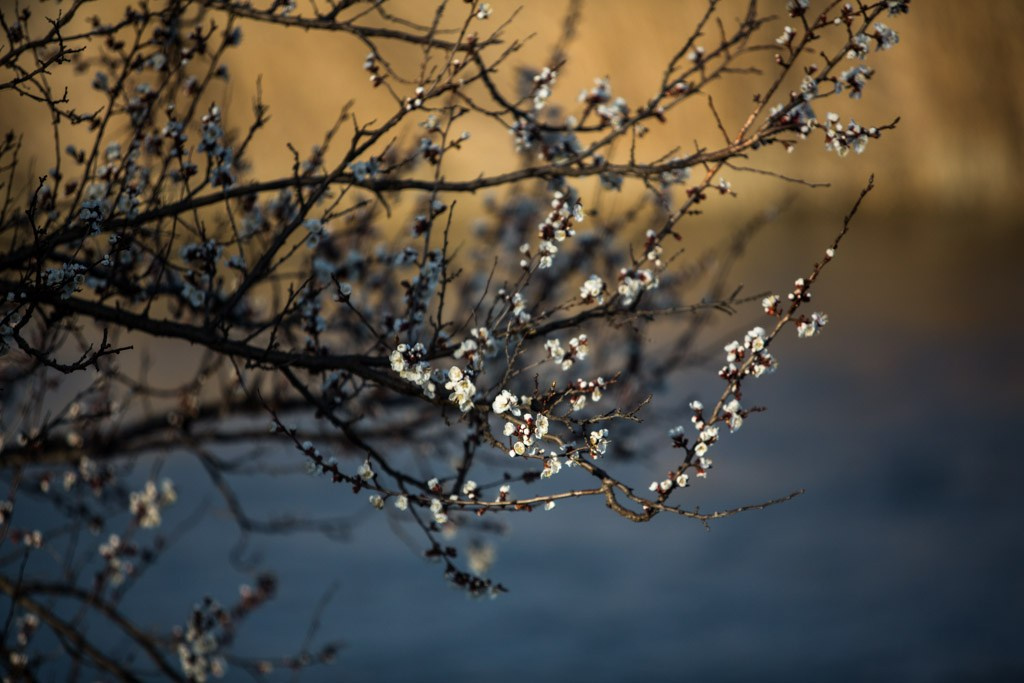 Анонс на март — апрель 2024 года. Фотограф в Москве Ольга Олейникова