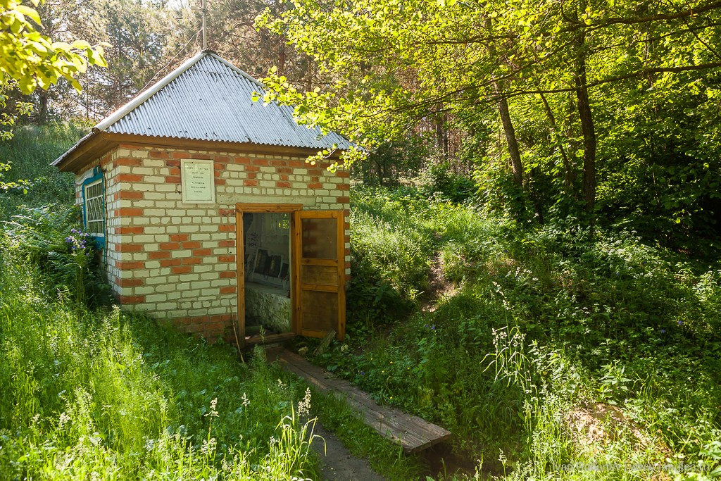 Брянская область. Климово. Фотограф Иван Губанов