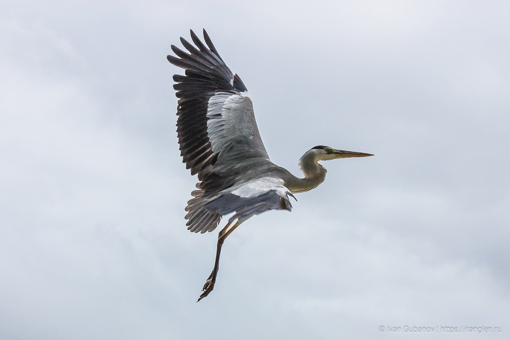 Путешествие на Сейшельские острова. Фотограф Иван Губанов
