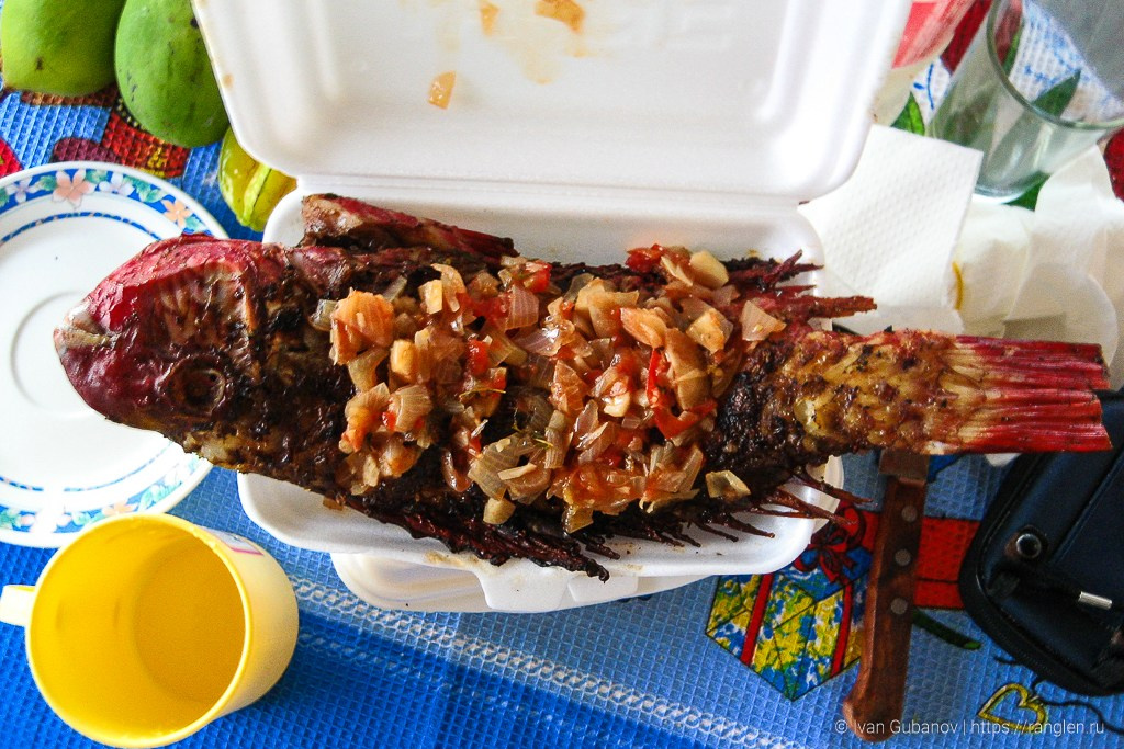 Путешествие на Сейшельские острова. Фотограф Иван Губанов