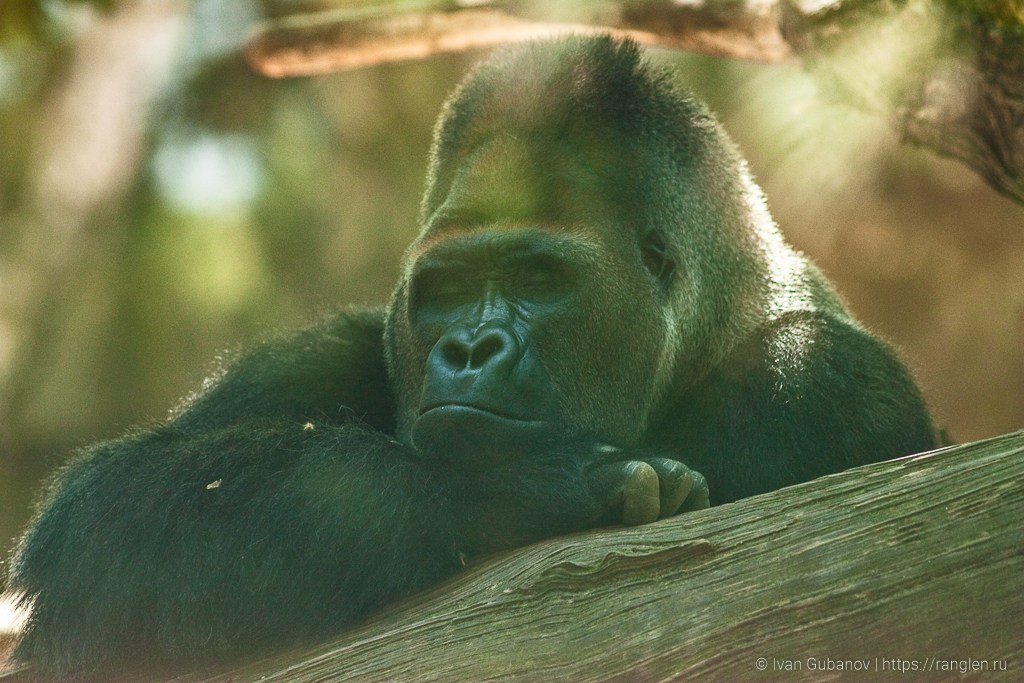 Испания. Часть 2. Барселона. Фотограф Иван Губанов