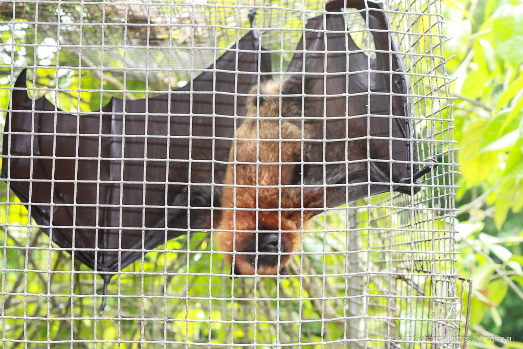 Путешествие на Сейшельские острова. Фотограф Иван Губанов
