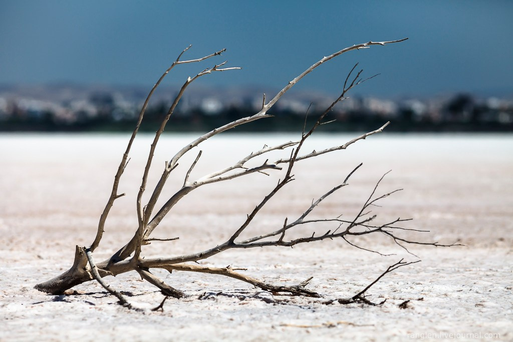 Путешествие на Кипр в 2014 году. Фотограф Иван Губанов