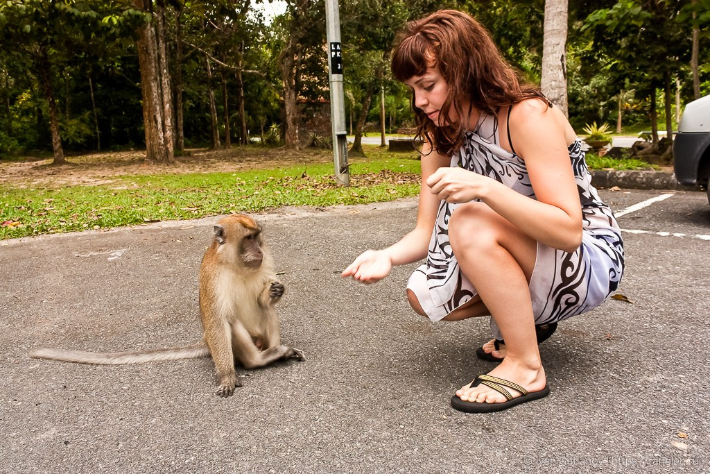 Малайзия. Фотограф Иван Губанов