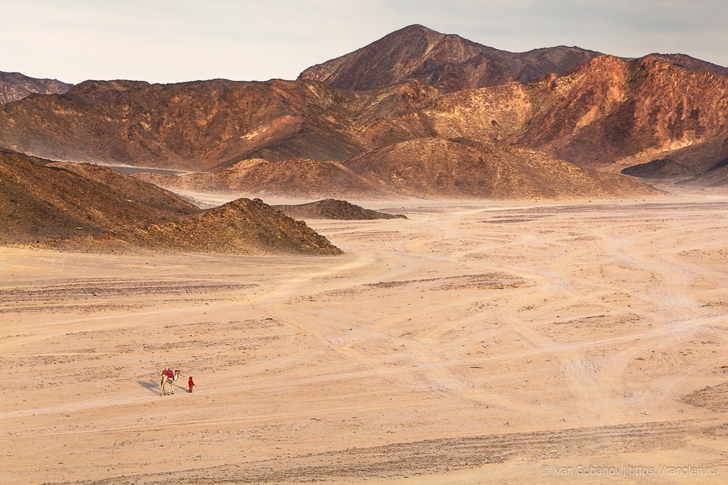 Путешествие в Египет. Фотограф Иван Губанов