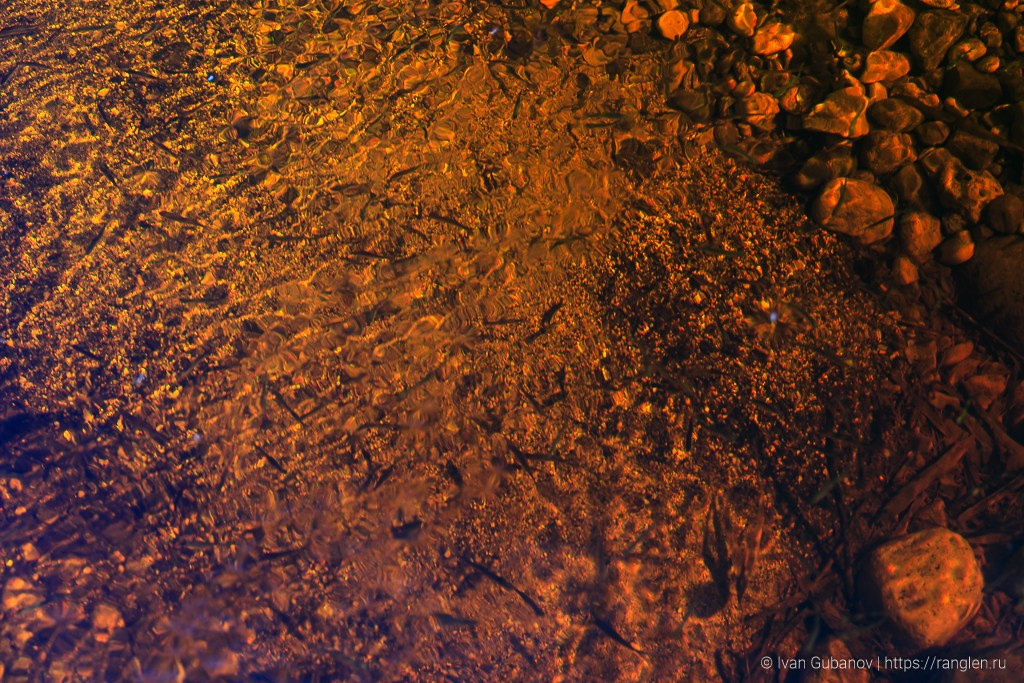 Весеннее путешествие в город Кириллов в Вологодской области. Фотограф Иван Губанов