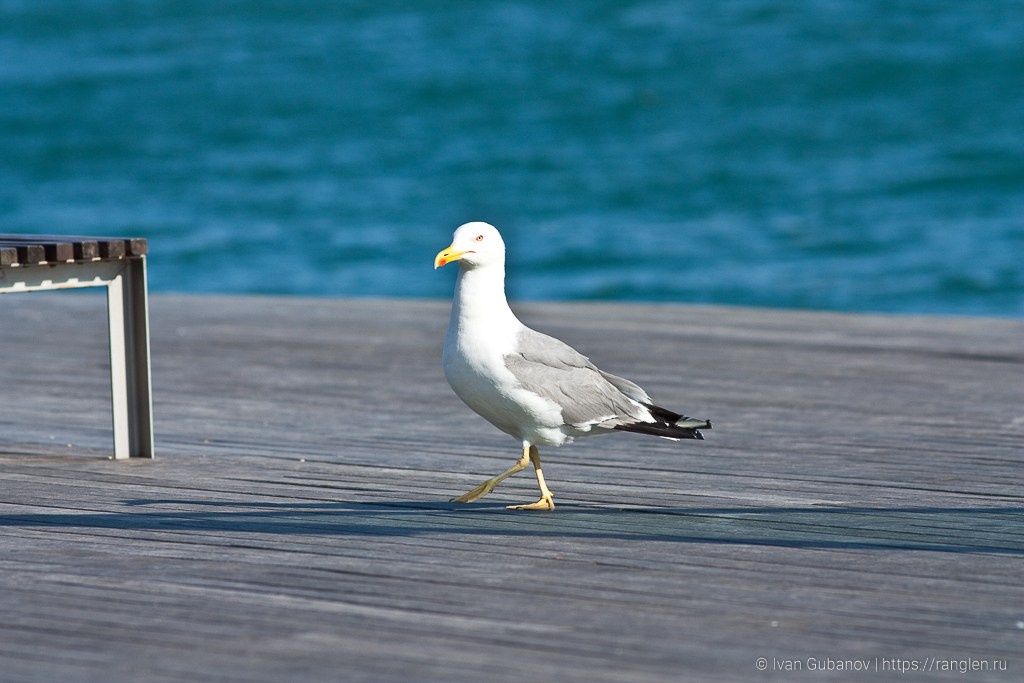 Испания. Часть 2. Барселона. Фотограф Иван Губанов