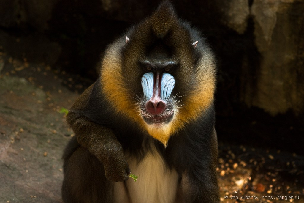 Испания. Часть 2. Барселона. Фотограф Иван Губанов