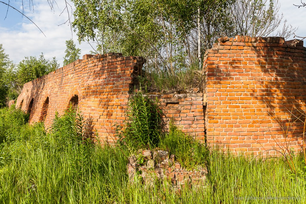 Брянская область. Климово. Фотограф Иван Губанов
