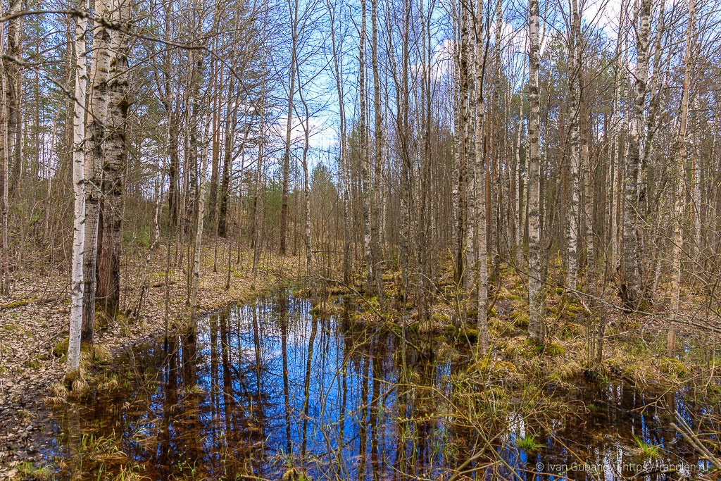 Весеннее путешествие в город Кириллов в Вологодской области. Фотограф Иван Губанов