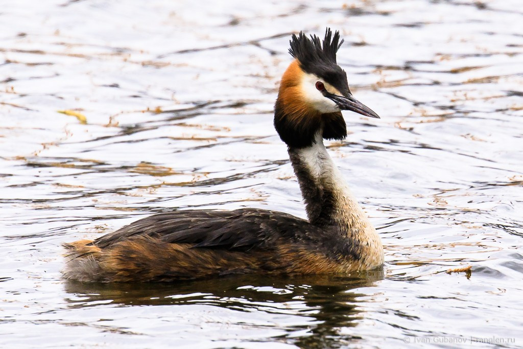 Путешествие в Казань в 2024 году. Фотограф Иван Губанов