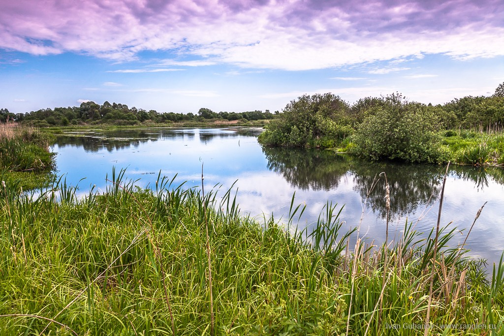 Брянская область. Климово. Фотограф Иван Губанов