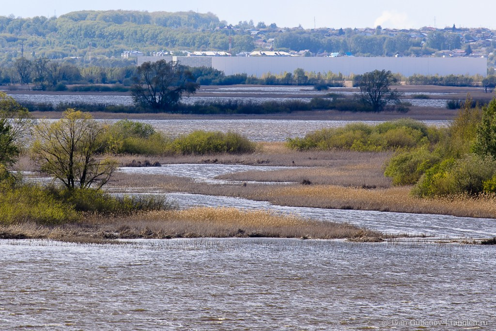Путешествие в Казань в 2024 году. Фотограф Иван Губанов